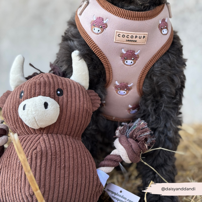 Harold the Highland Cow Adjustable Neck HARNESS: XXS