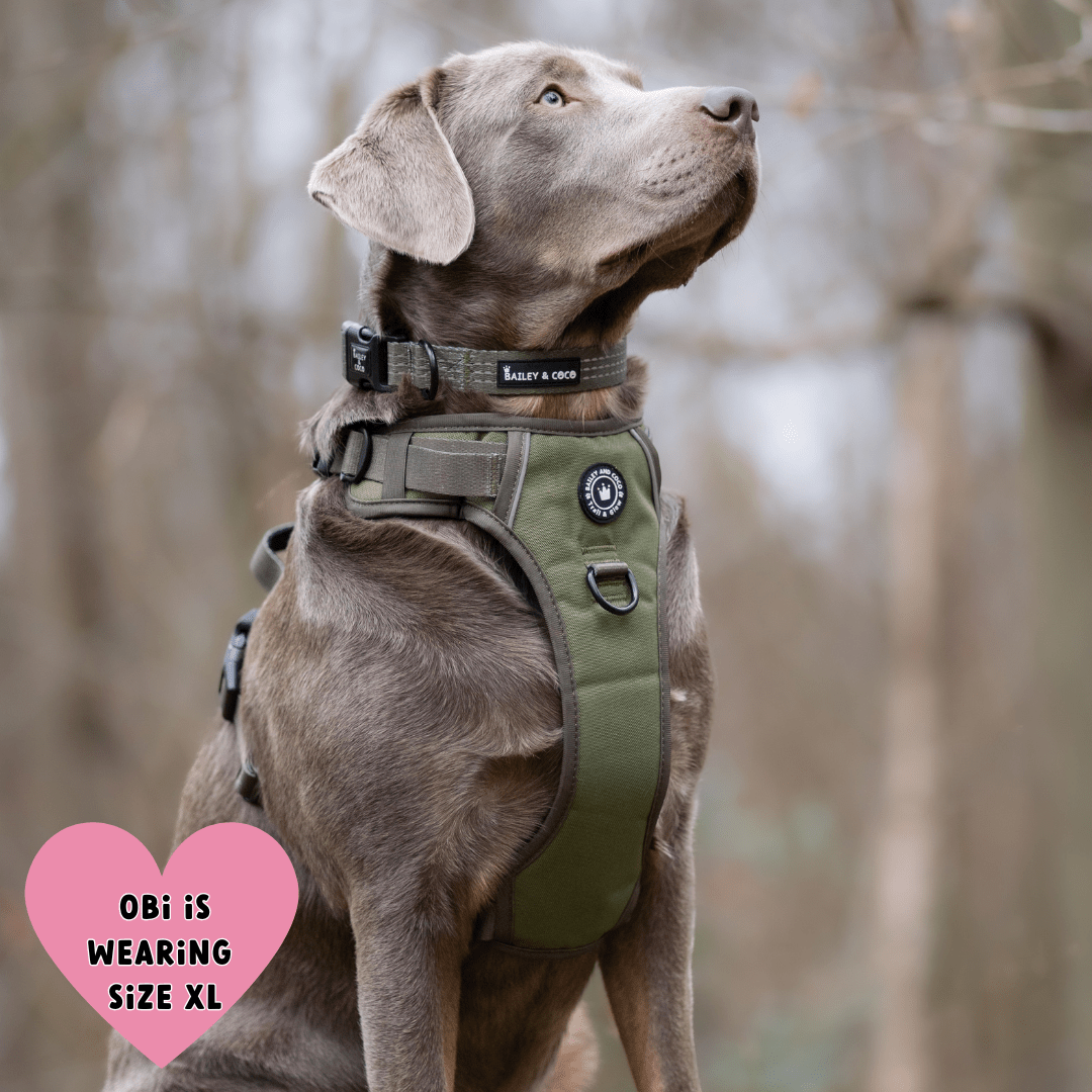 Trail & Glow® Dog Harness - The Khaki One: M