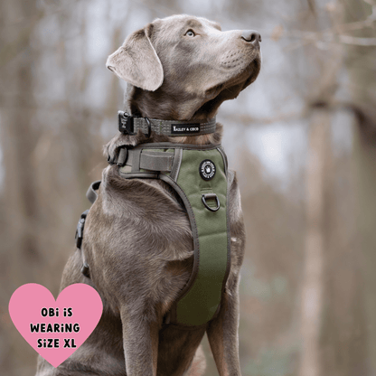 Trail & Glow® Dog Harness - The Khaki One: M