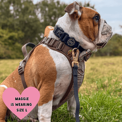 Waterproof Dog Lead - Colour Drops - Jet Black