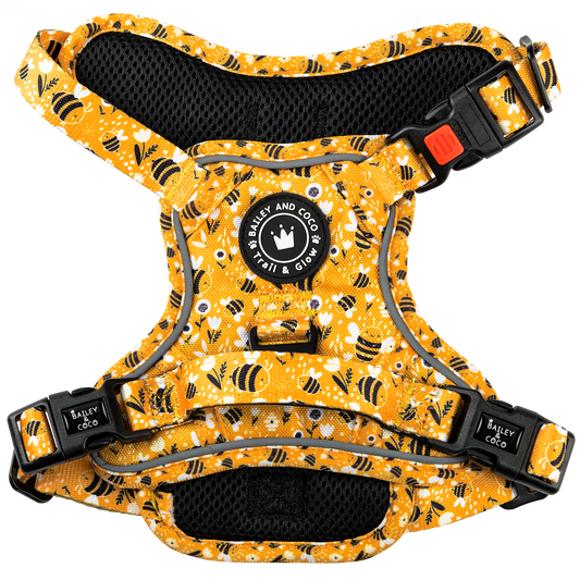 Trail & Glow® Dog Harness - Wanna-Bee: S