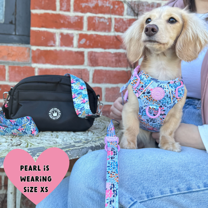 Floral Dog Harness - Colour Drops - Spring Dreams: XS