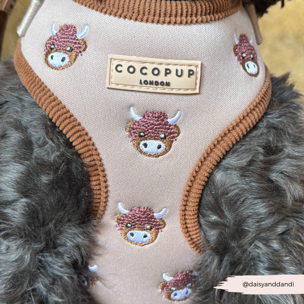 Harold the Highland Cow Adjustable Neck HARNESS: XXS