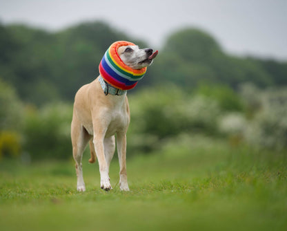 Rainbow Hush Muff: Medium