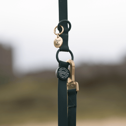 Waterproof Dog Lead - Colour Drops - Forest Green