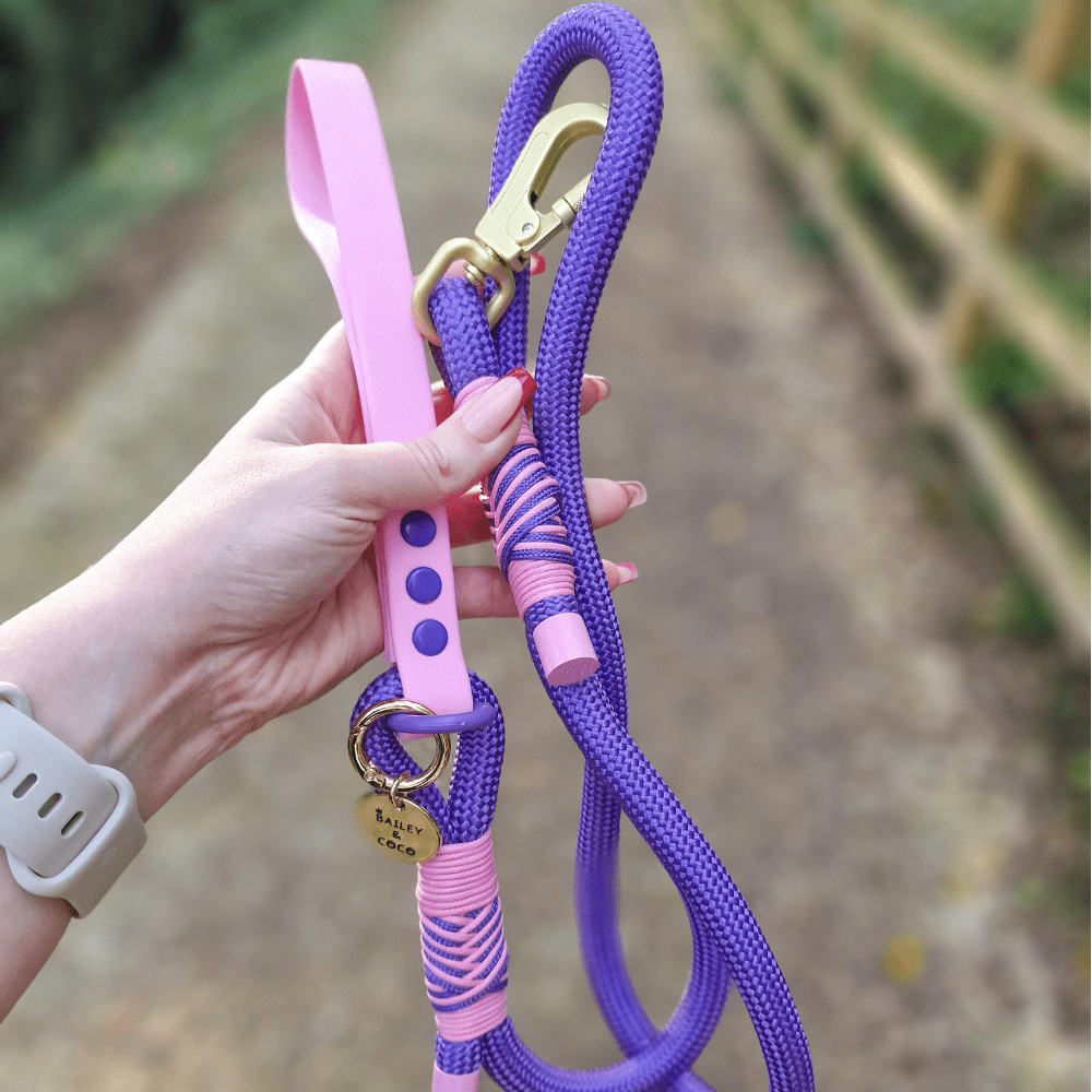 Rope Dog Lead COLOUR DROPS® - Love that for you