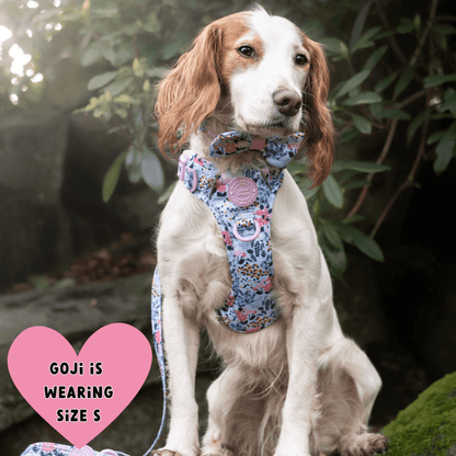 Floral Dog Harness - Colour Drops - Spring Dreams: XS
