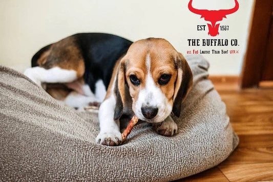 Buffalo Tail-Dog Treats-200g