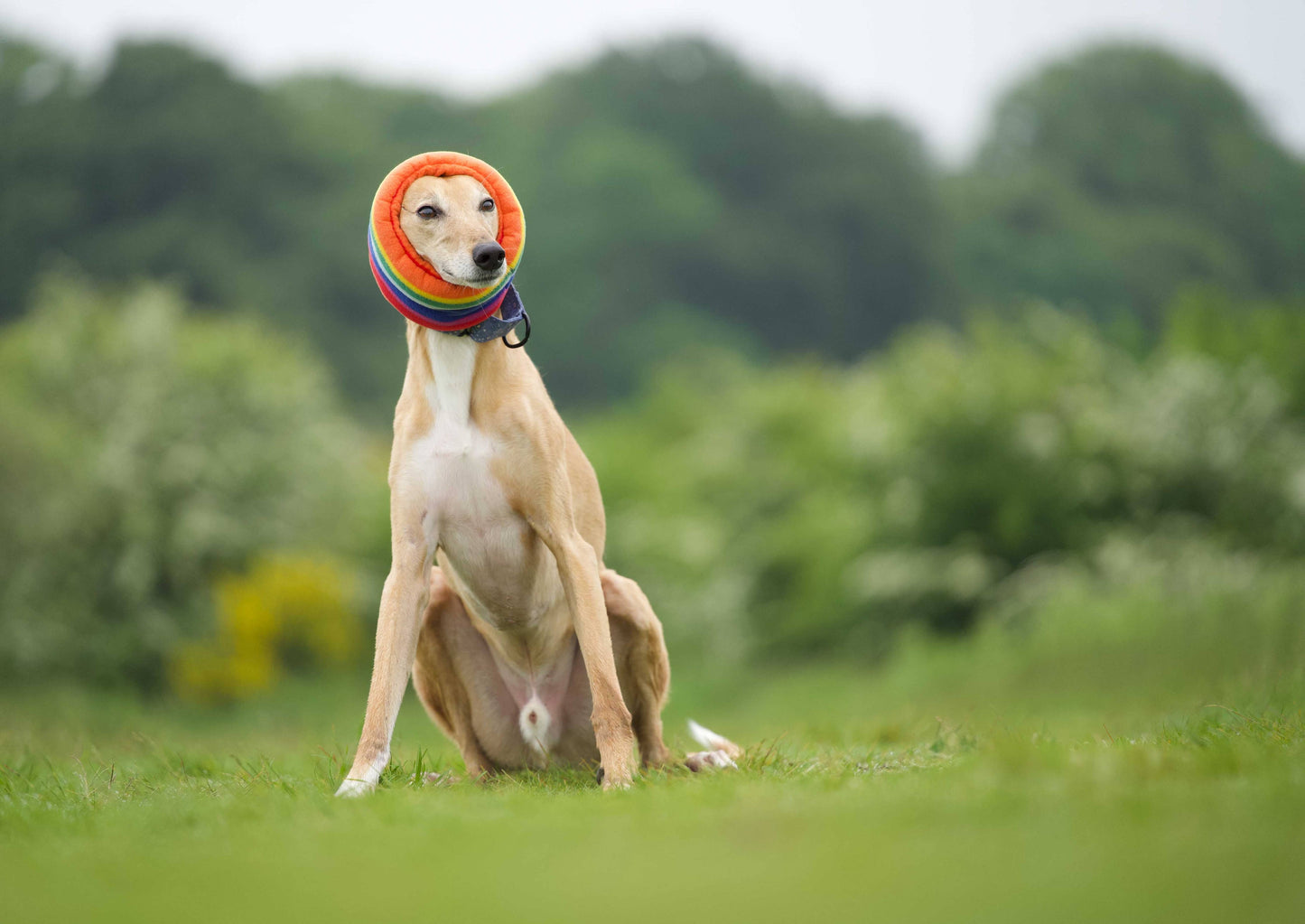 Rainbow Hush Muff: Large