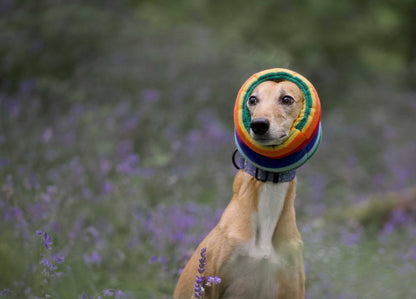 Rainbow Hush Muff: Medium