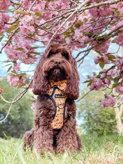 Trail & Glow® Dog Harness - Wanna-Bee: XS