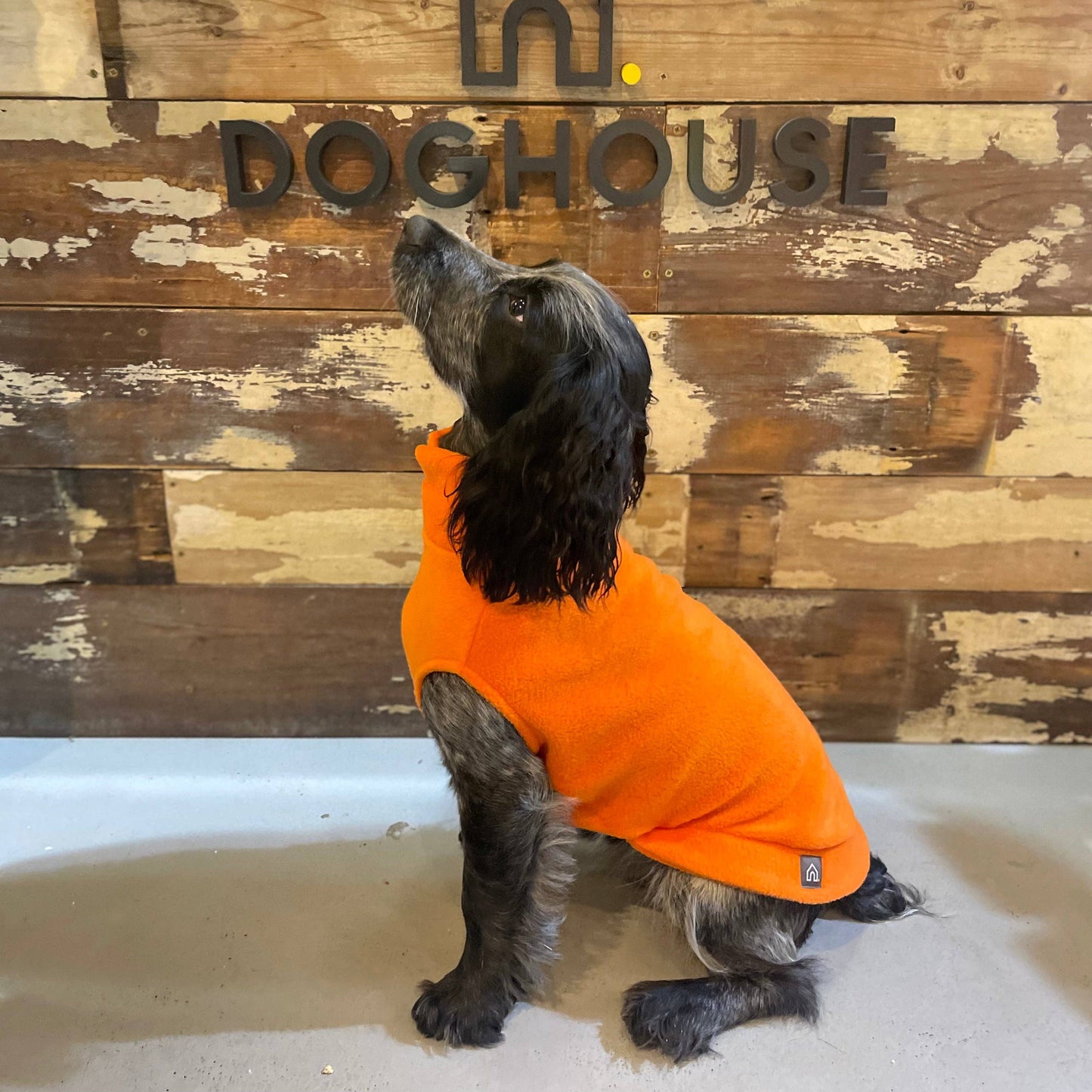 Spaniel Dog Fleece Jumper: Sunshine Yellow / Medium