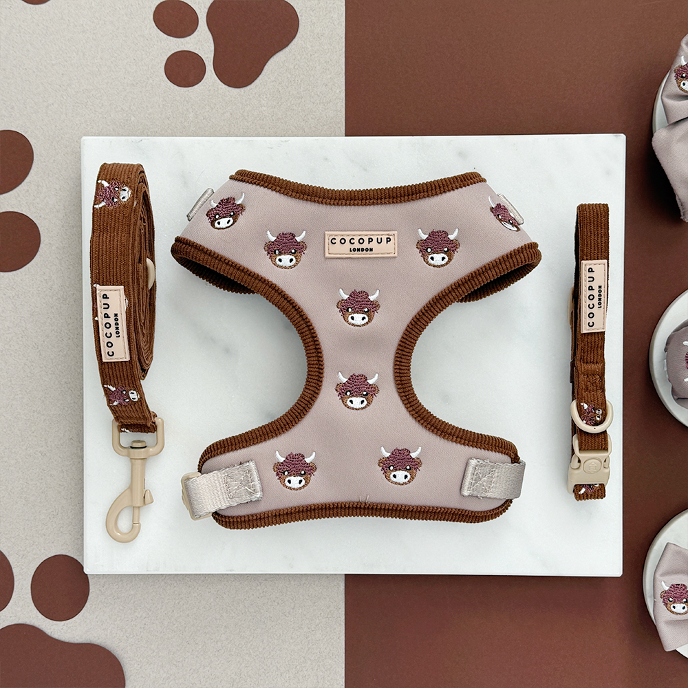 Harold the Highland Cow Adjustable Neck HARNESS: XXS