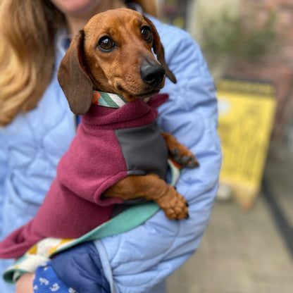 Dachshund Fleece Jumper with Waterproof Belly Panel: Sunshine / Large