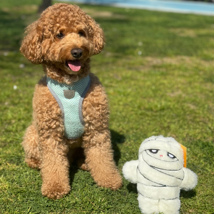 WufWuf Mummy Crinkle Plush Dog Toy , It's a 'wrap' of joy!