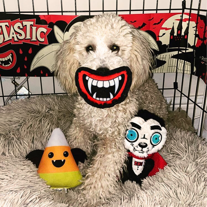 WufWuf Count Dogcula, Crinkle and Squeaky Dracula Dog Toy: Large