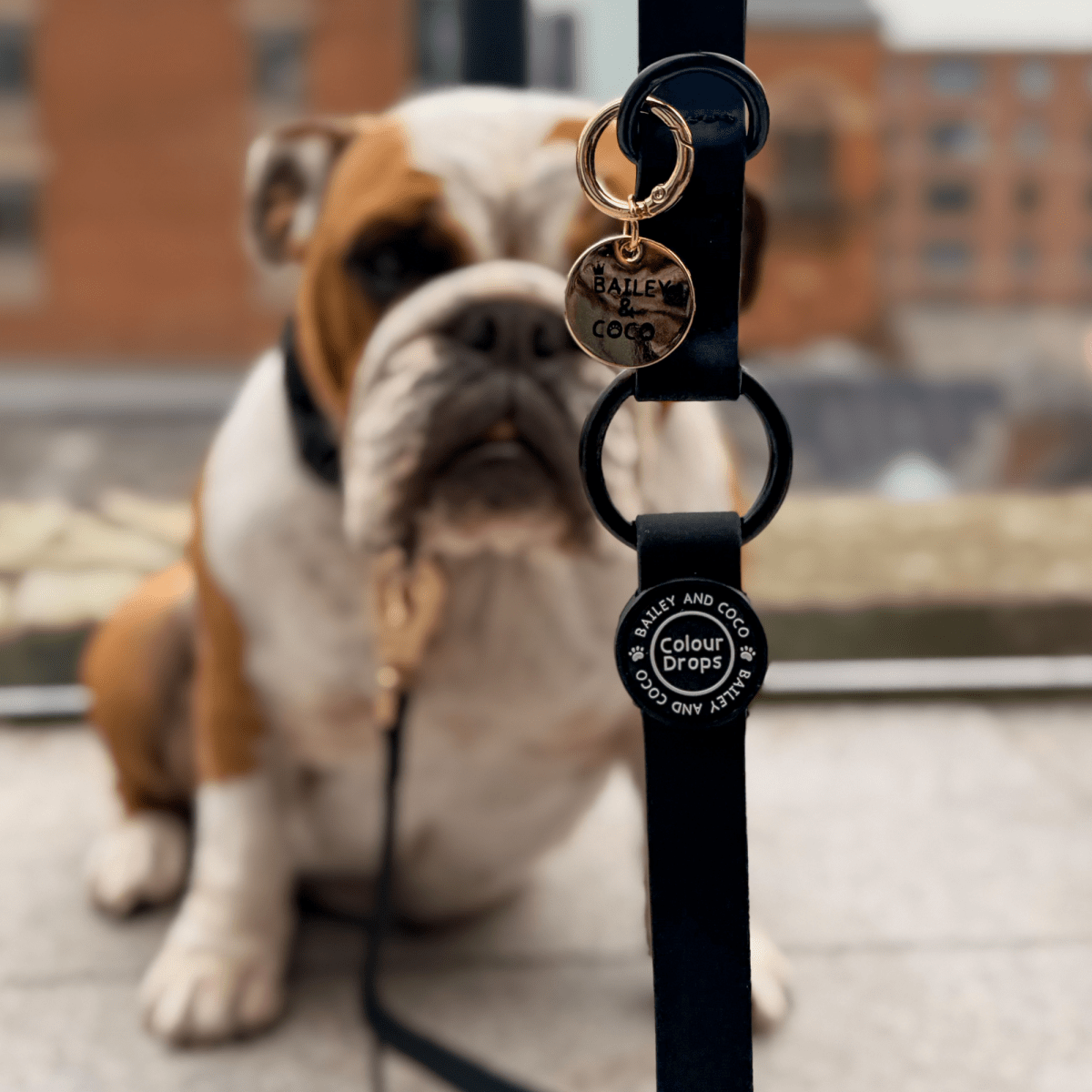 Waterproof Dog Lead - Colour Drops - Jet Black