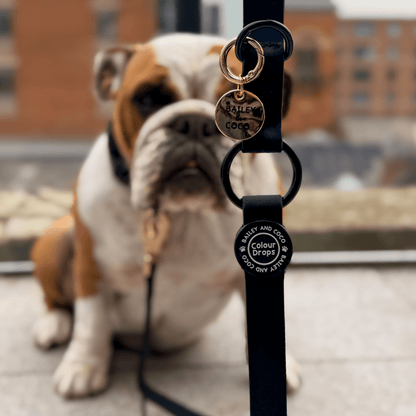 Waterproof Dog Lead - Colour Drops - Jet Black