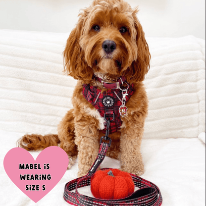 Trail & Glow® Dog Harness - The Red Tartan One: XL