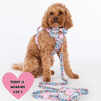 Floral Dog Harness - Colour Drops - Spring Dreams: XS