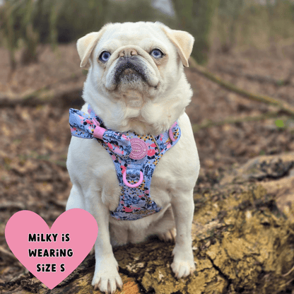 Floral Dog Harness - Colour Drops - Spring Dreams: XS