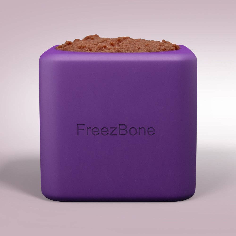 Freezbox Durable Eco-Friendly Pet Chew Toy: Purple / UP TO 140LBS DOGS