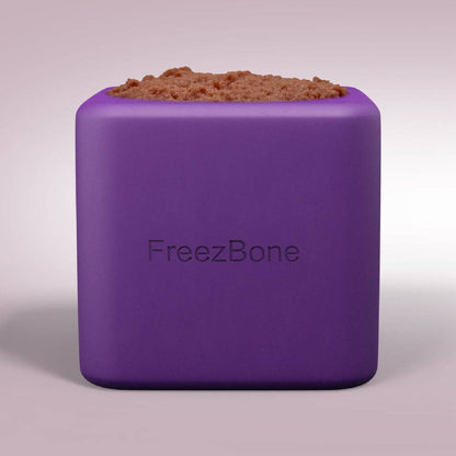 Freezbox Durable Eco-Friendly Pet Chew Toy: Purple / UP TO 140LBS DOGS