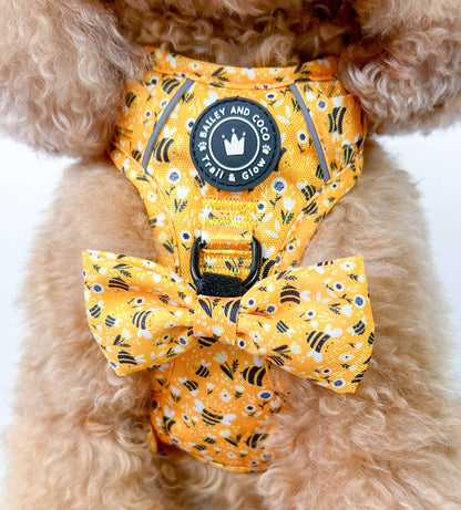 Trail & Glow® Dog Harness - Wanna-Bee: XS