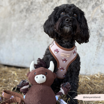 Harold the Highland Cow Adjustable Neck HARNESS: XXS