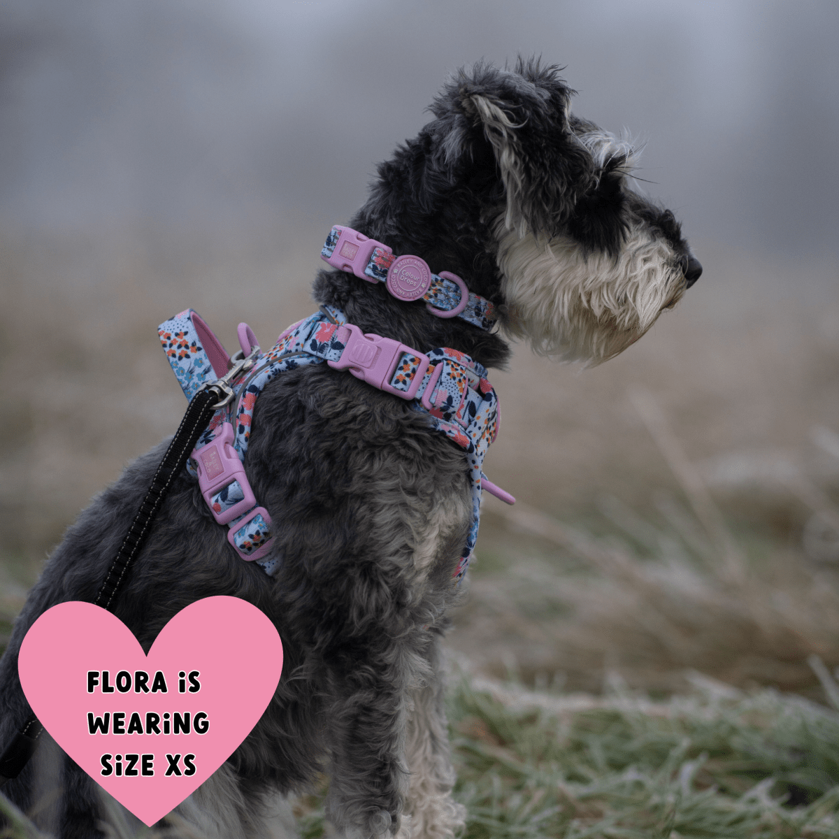 Floral Dog Harness - Colour Drops - Spring Dreams: XS