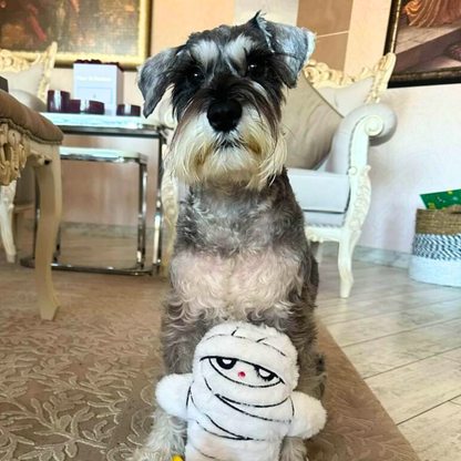 WufWuf Mummy Crinkle Plush Dog Toy , It's a 'wrap' of joy!