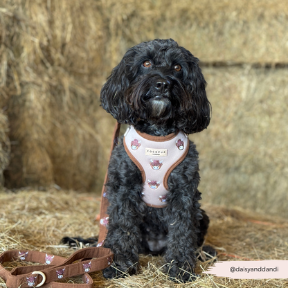 Harold the Highland Cow Adjustable Neck HARNESS: XXS