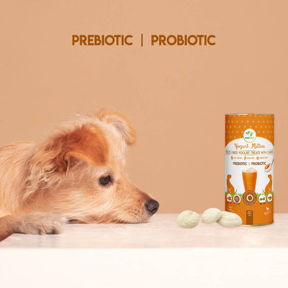 Prebiotic and Probiotic Dog Treats: Carrot & Yogurt