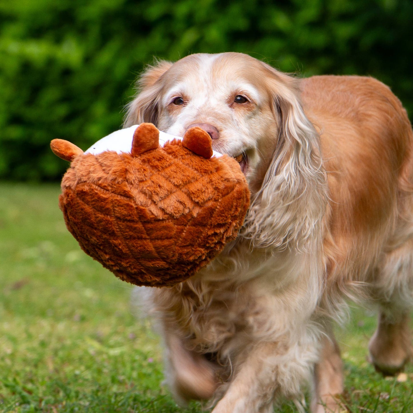 Playtime Cuddle Toy for Dogs - Quilted Woodland Animal