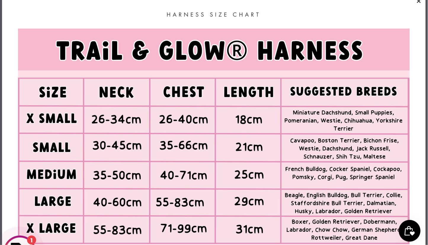 Trail & Glow® Dog Harness - Wanna-Bee: XS