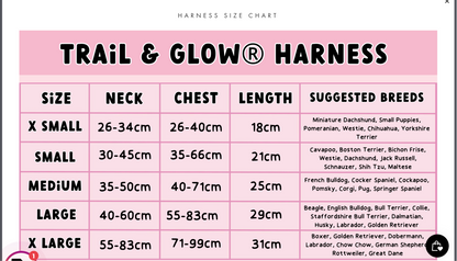 Trail & Glow® Dog Harness - Wanna-Bee: XS