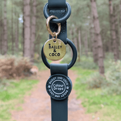 Waterproof Dog Lead - Colour Drops - Forest Green