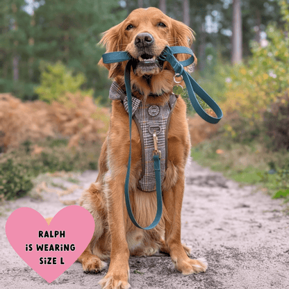 Waterproof Dog Lead - Colour Drops - Forest Green
