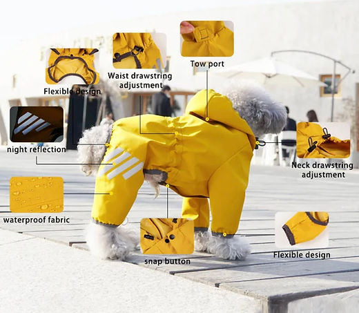 Small Dog Waterproof Suit
