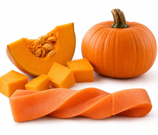 Tatty Yak Twisted Pumpkin XL