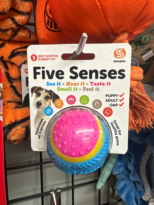 Five Senses Dog Ball Toy small.
