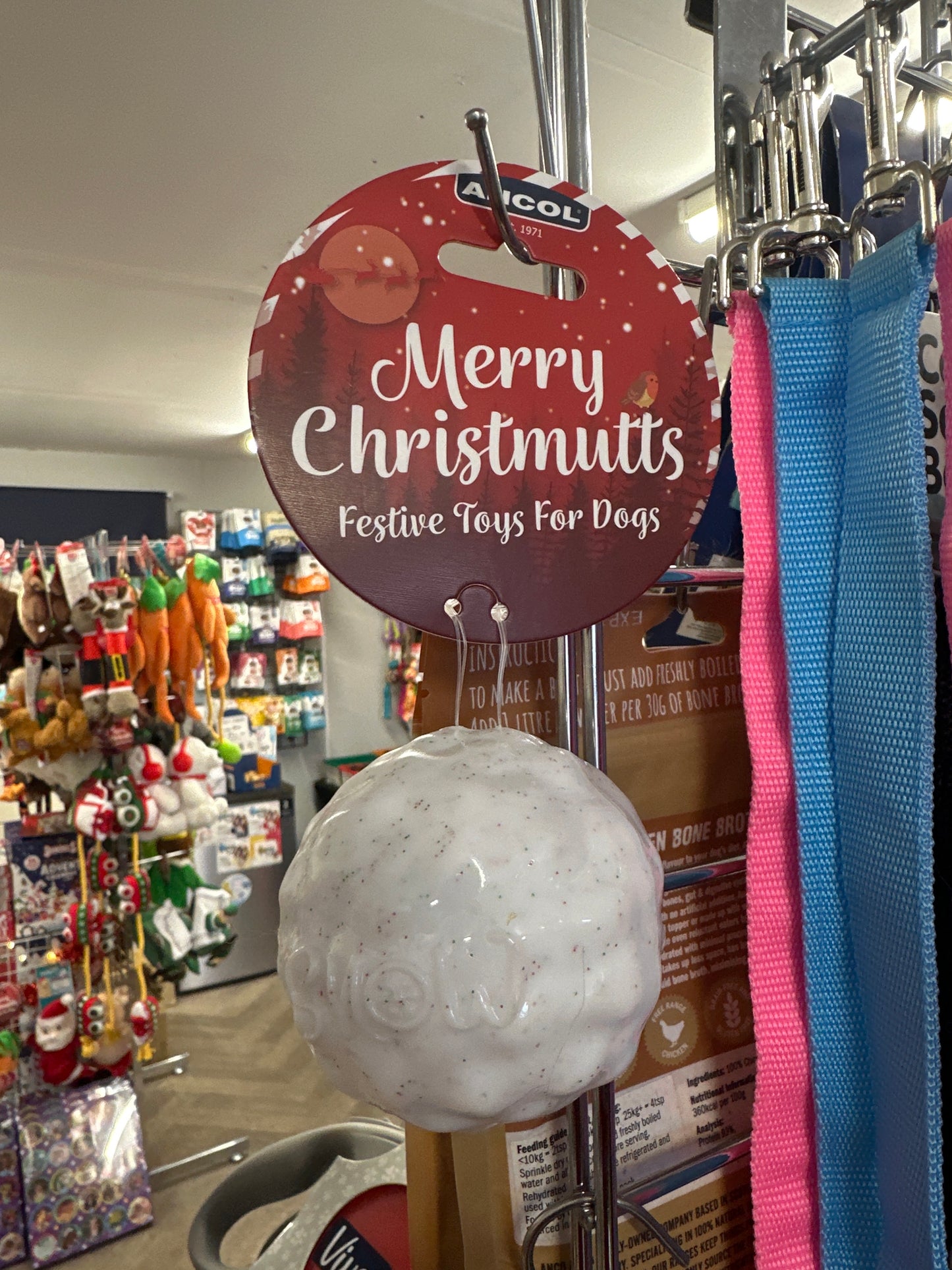 Ancol Bouncy Snowball Dog Toy