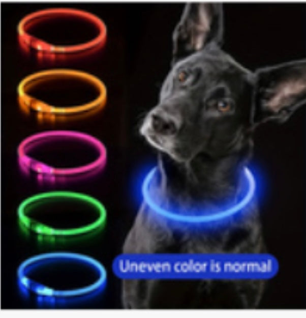 LED rechargeable flashing dog collar.