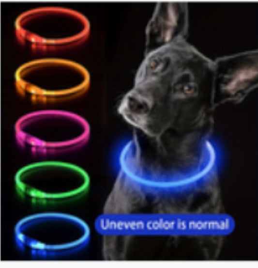 LED rechargeable flashing dog collar.