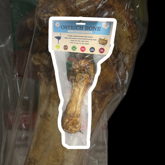 JR Ostrich Dino Bone