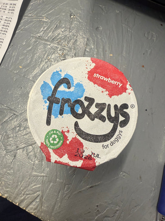Frozzy’s Lickable frozen yoghurt