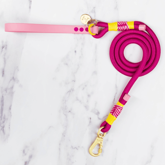 Rope Dog Lead COLOUR DROPS® - We're Jammin'
