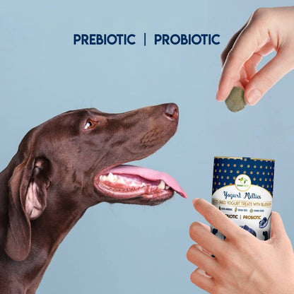 Prebiotic and Probiotic Dog Treats: Blueberry & Yogurt