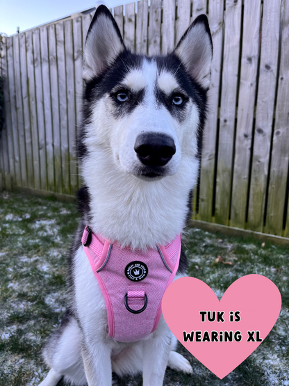 TRAIL & GLOW® DOG HARNESS - BUBBLEGUM PINK TWEED: Extra Large