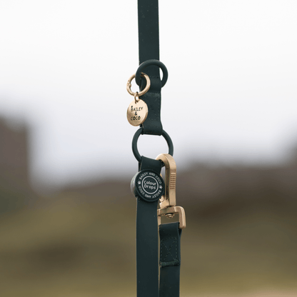 Waterproof Dog Lead - Colour Drops - Jet Black